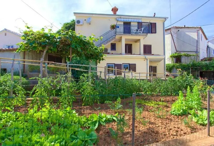 Apartment Iva