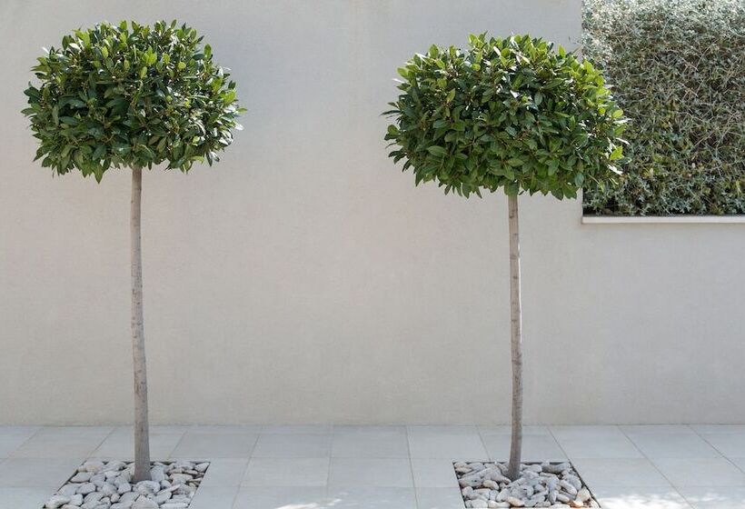 Beachfront Villa Poseidon With Heated Pool