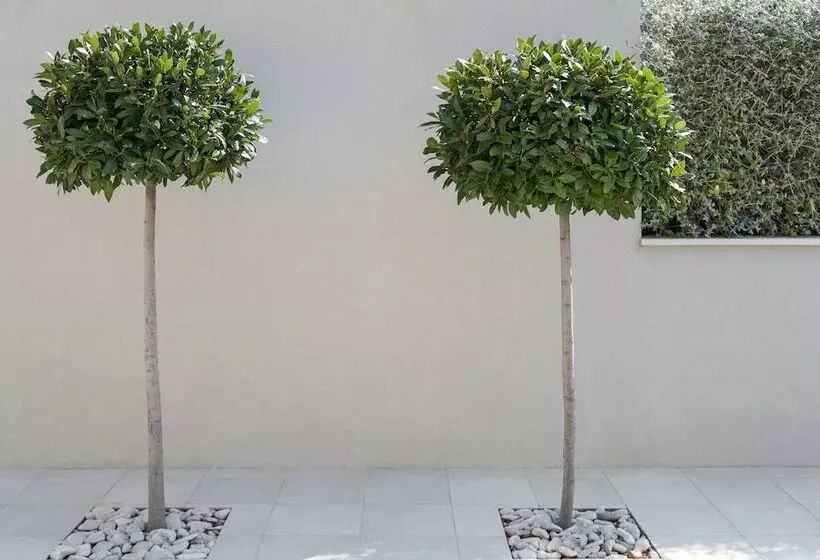 Beachfront Villa Poseidon With Heated Pool