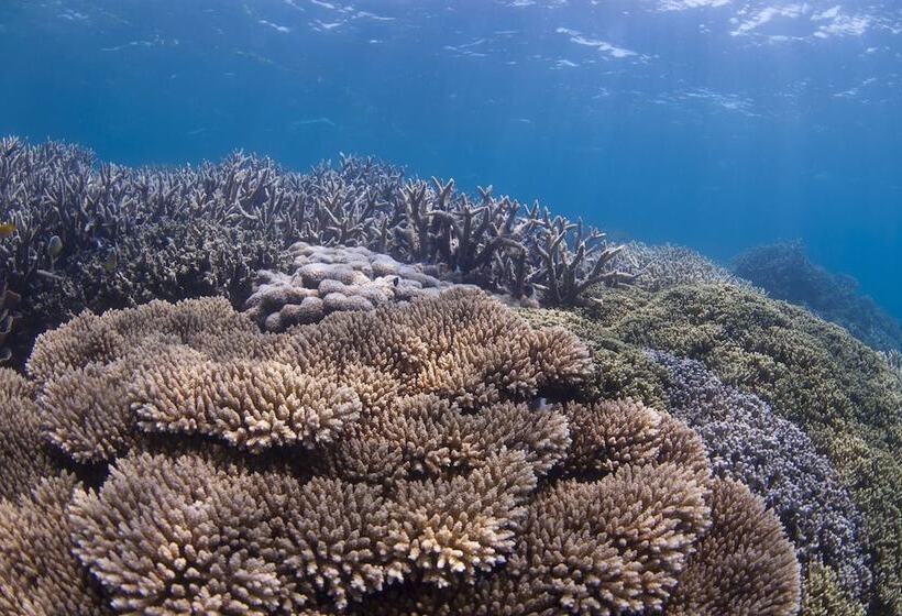 هتل Chumbe Island Coral Park