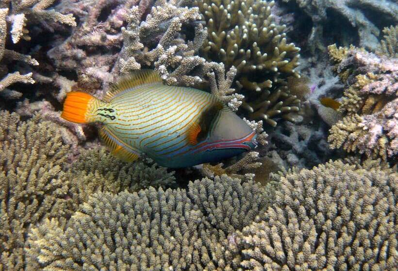 هتل Chumbe Island Coral Park