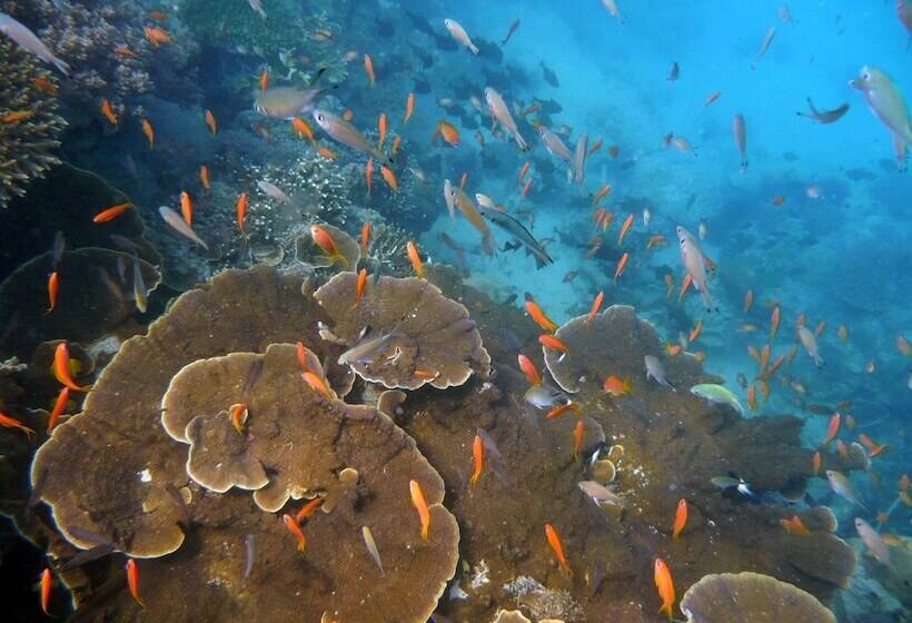 هتل Chumbe Island Coral Park