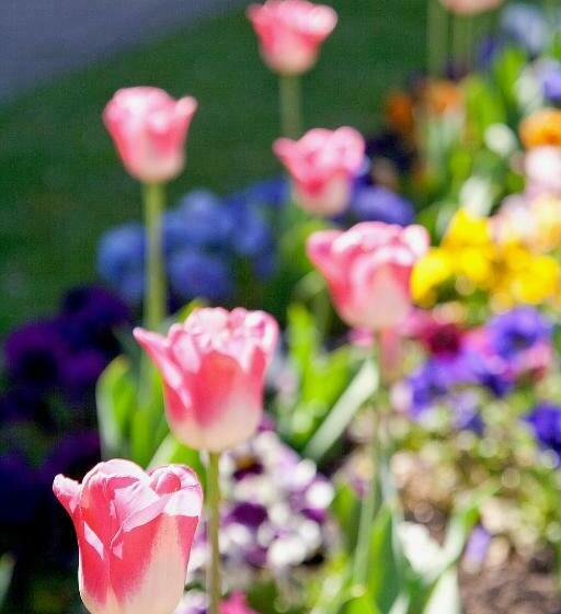 ホテル Crownplace