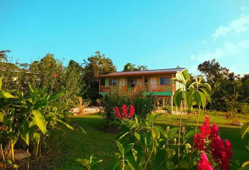 هتل Juntos Cottages