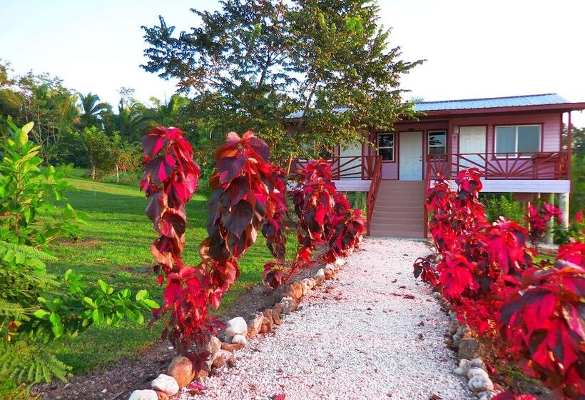 ホテル Juntos Cottages