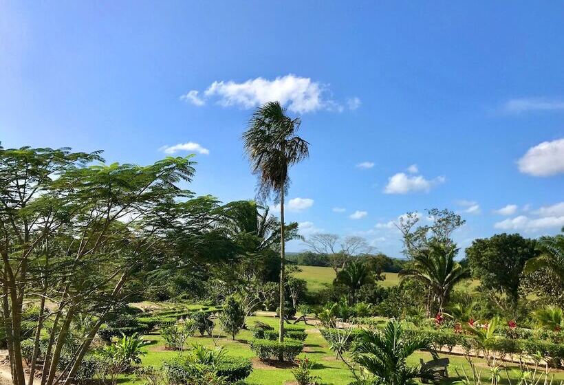 ホテル Juntos Cottages