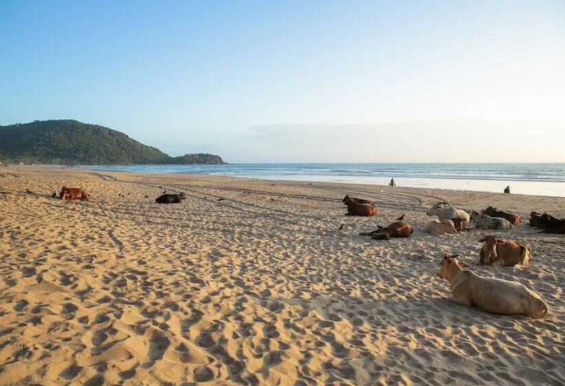Hotel Simrose Resort South End Of Agonda Beach