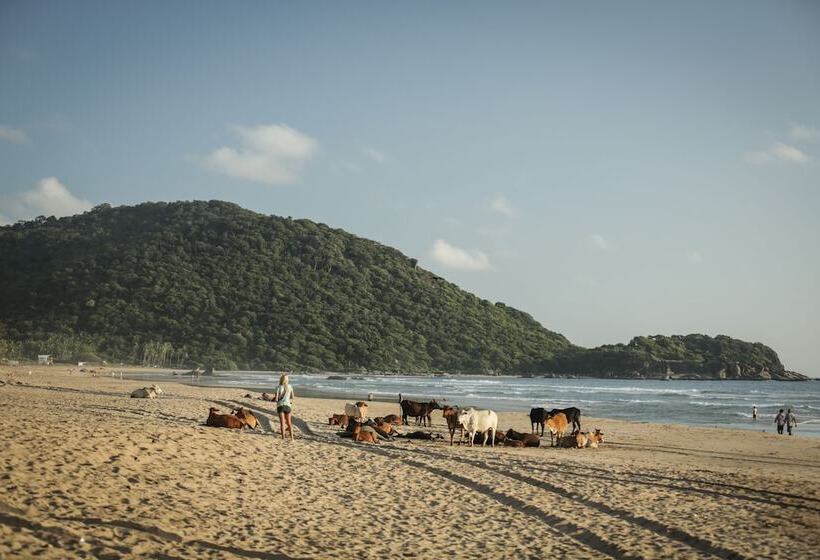 Hotel Simrose Resort South End Of Agonda Beach