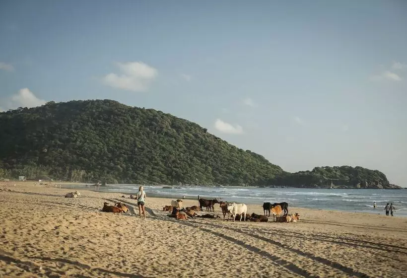 Hotelli Simrose Resort South End Of Agonda Beach