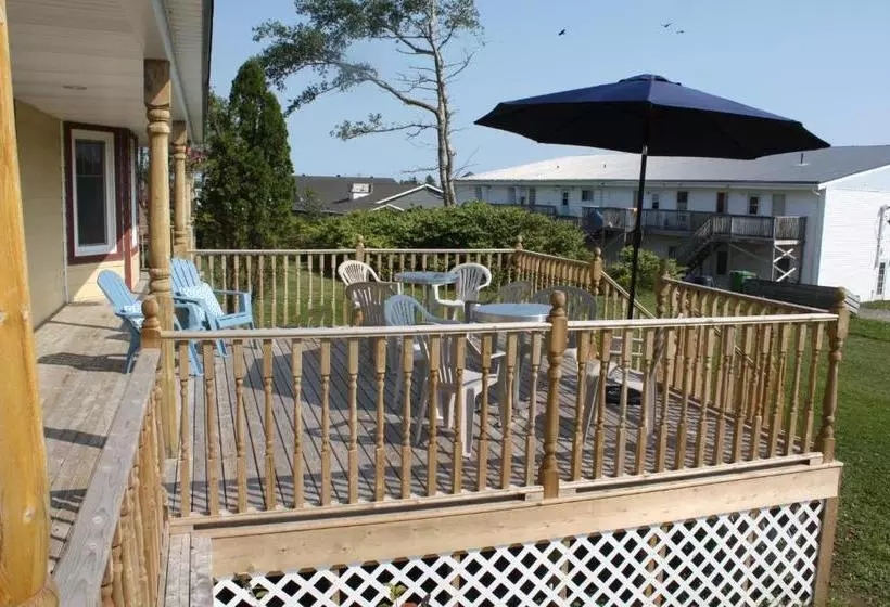 ホテル Yellow Seabird B&b Inn