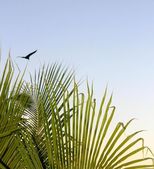 Hotel Fazenda São Francisco Do Corumbau