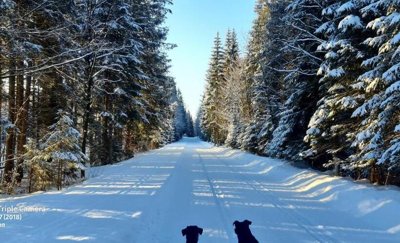 Отель Gästehaus Am Goldberg
