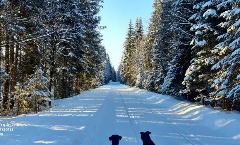 Hotel Gästehaus Am Goldberg