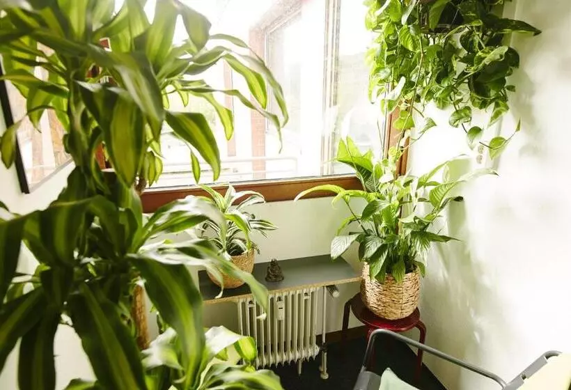 Hotelli Sleep Station Hostel