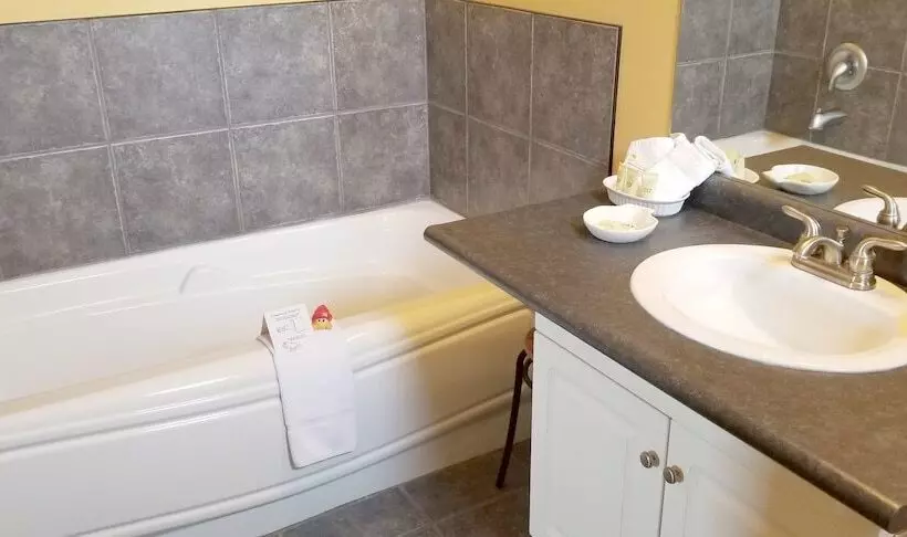 Hotelli The Falls Inn   Walters Falls