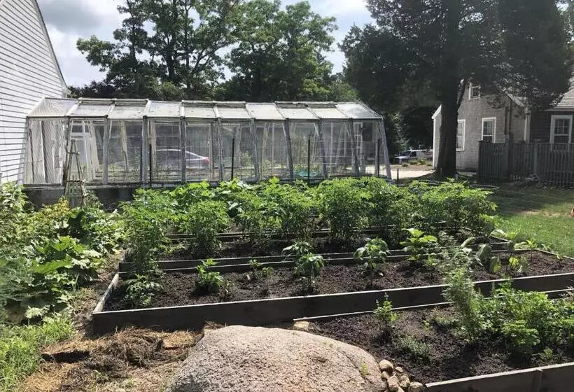 Aamiaismajoitus (B&B) Silvershell Inn