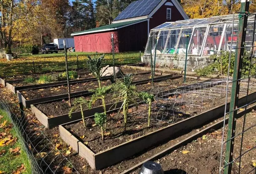 Aamiaismajoitus (B&B) Silvershell Inn