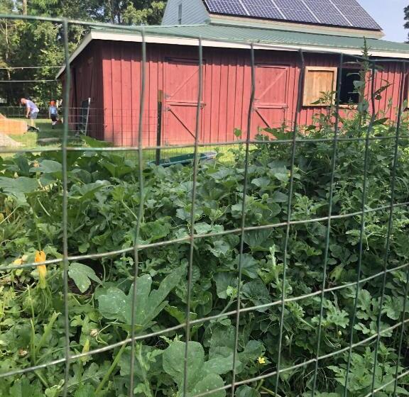 צימר Silvershell Inn