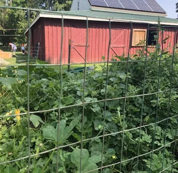 Aamiaismajoitus (B&B) Silvershell Inn