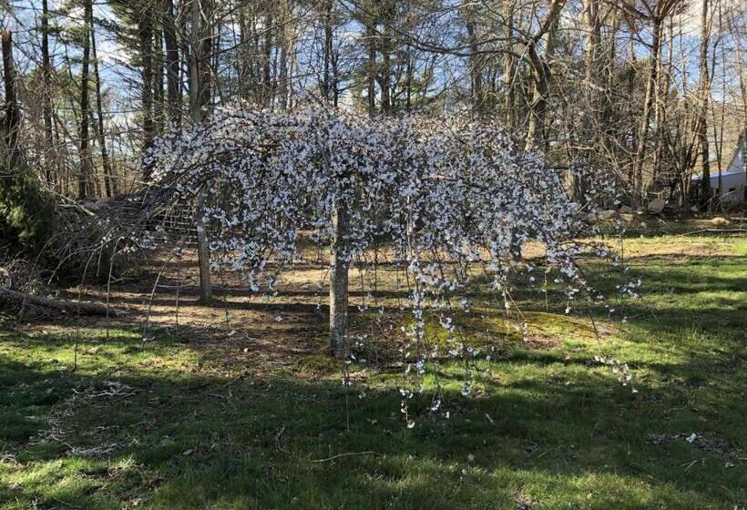 צימר Silvershell Inn