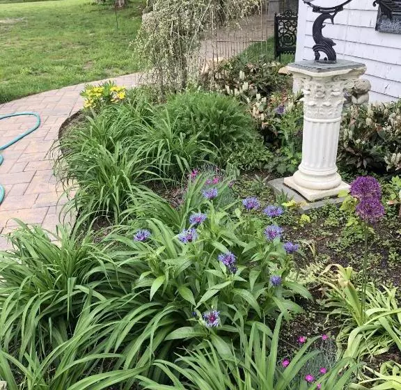 Aamiaismajoitus (B&B) Silvershell Inn