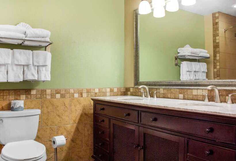 هتل Comfort Inn & Suites Durango