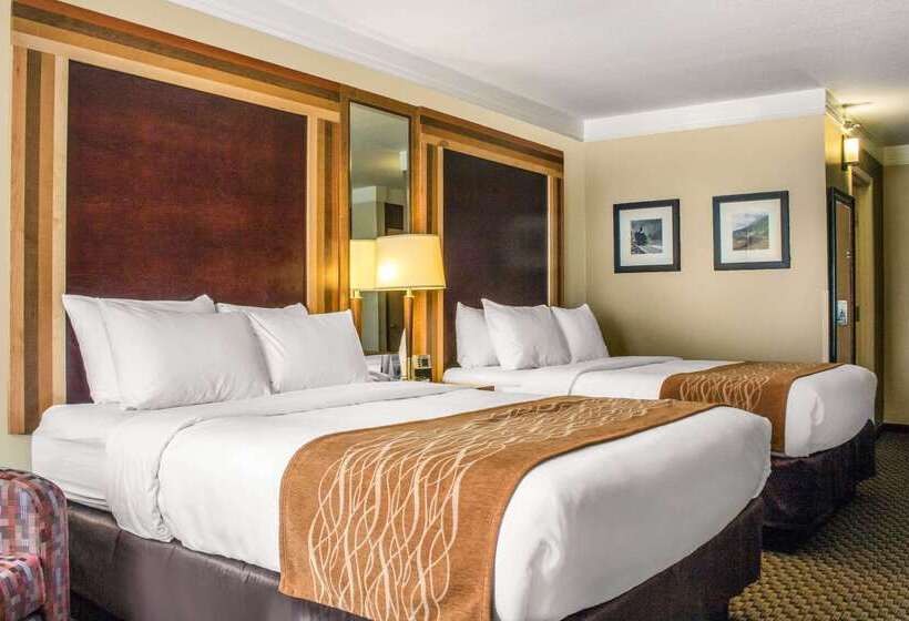 هتل Comfort Inn & Suites Durango