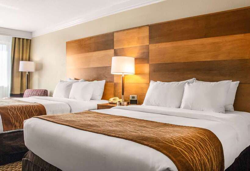 هتل Comfort Inn & Suites Durango