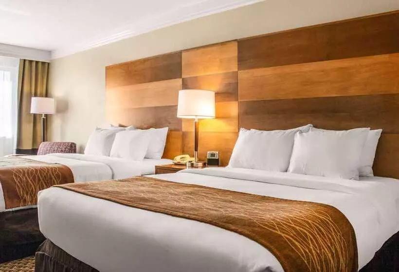 Отель Comfort Inn & Suites Durango