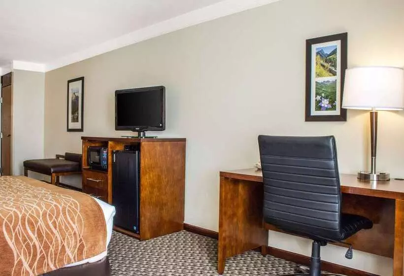 Отель Comfort Inn & Suites Durango