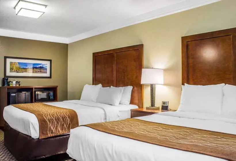 Отель Comfort Inn & Suites Durango