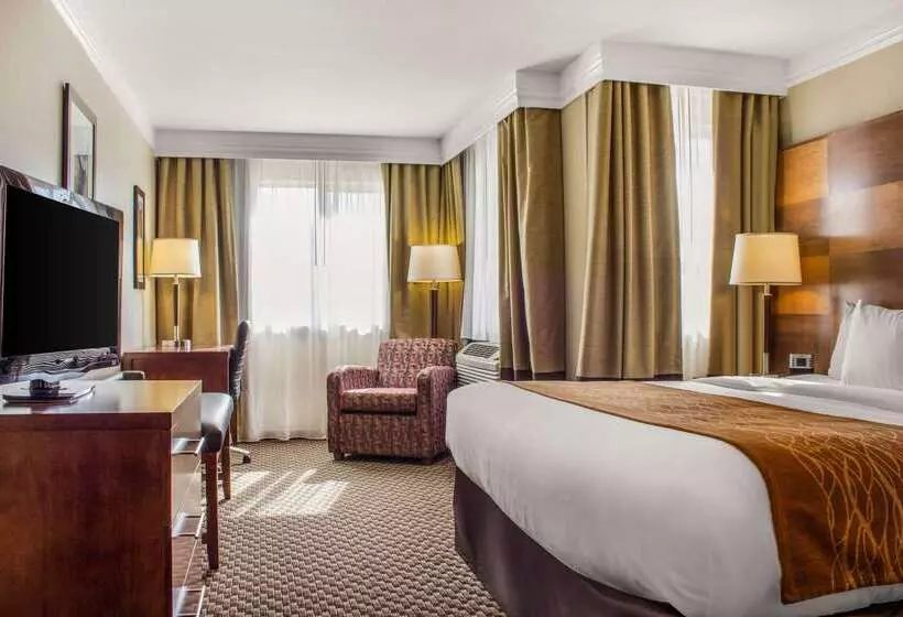 Отель Comfort Inn & Suites Durango