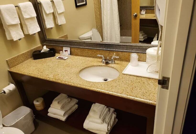 هتل Comfort Inn & Suites Durango