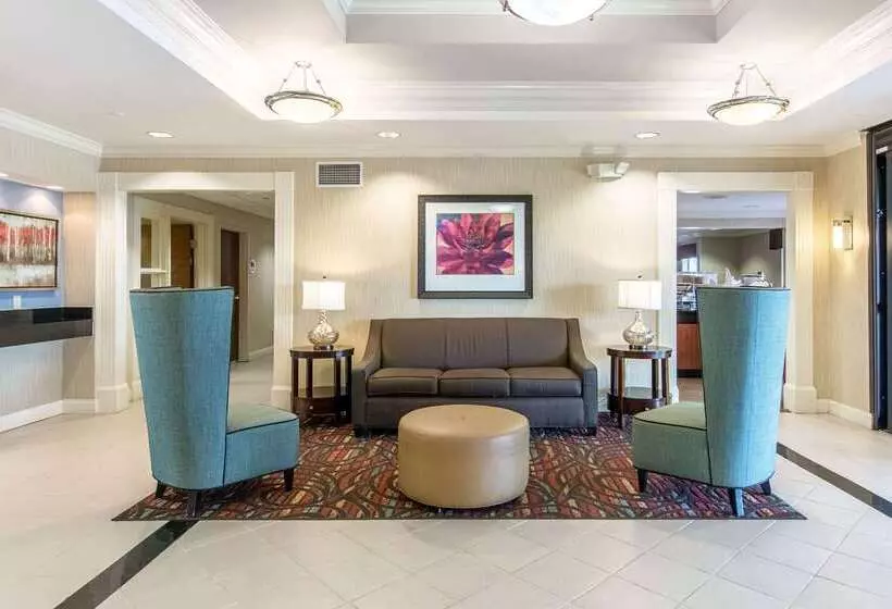 Отель Comfort Inn East