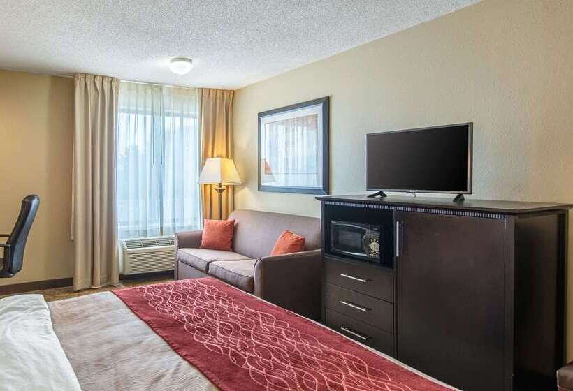 فندق Comfort Inn East