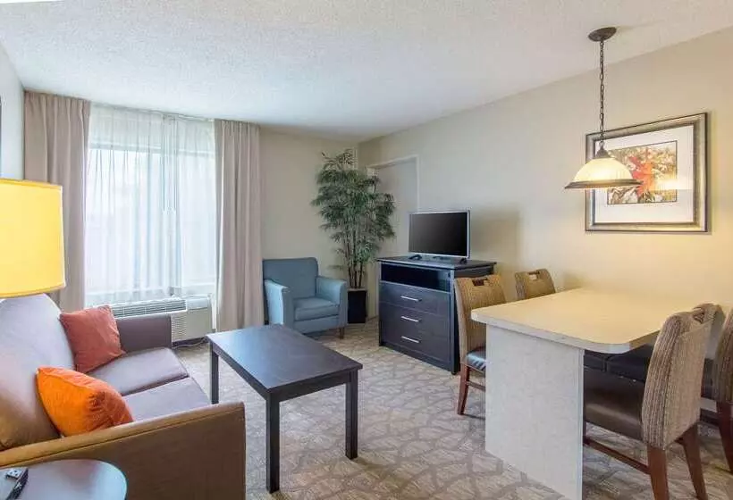 Отель Comfort Inn East