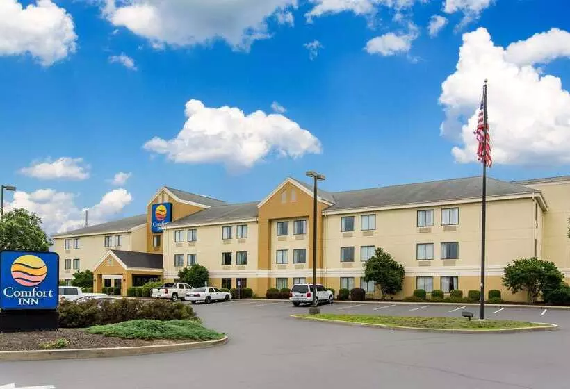 Отель Comfort Inn East
