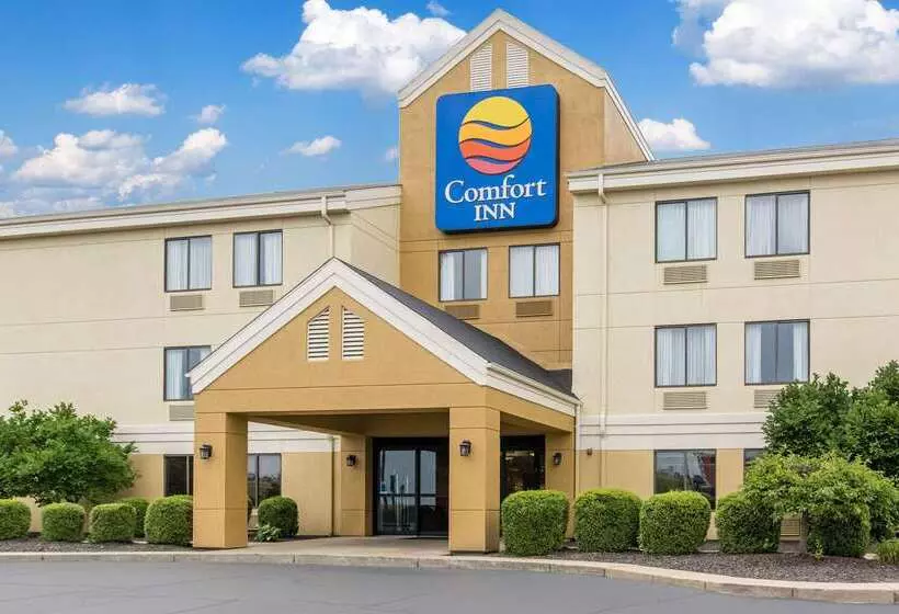 Отель Comfort Inn East