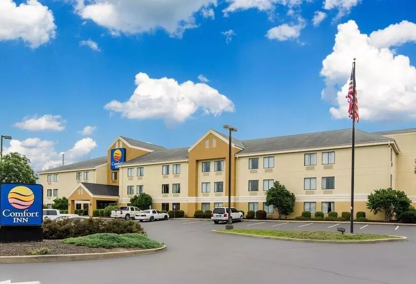 Отель Comfort Inn East