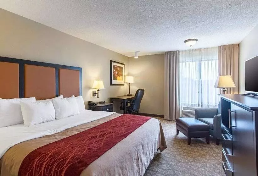 Отель Comfort Inn East
