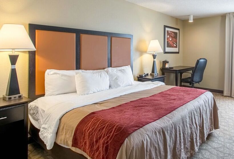 فندق Comfort Inn East
