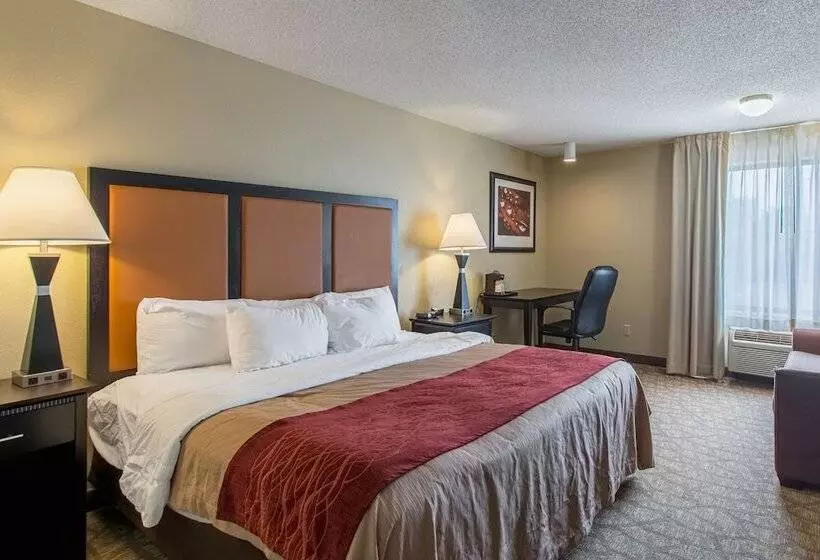 Отель Comfort Inn East