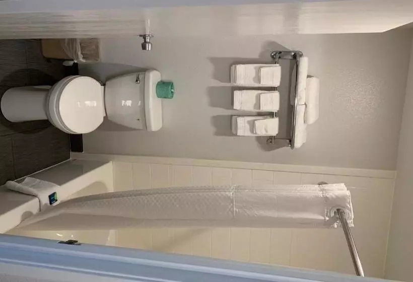 酒店 Magnuson East Syracuse