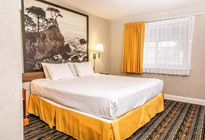 בית מלון כפרי Pelican Inn