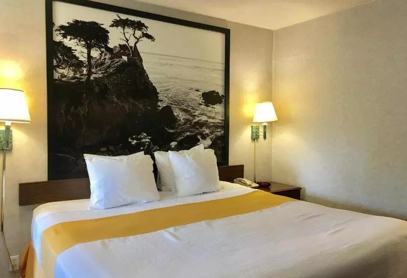 בית מלון כפרי Pelican Inn