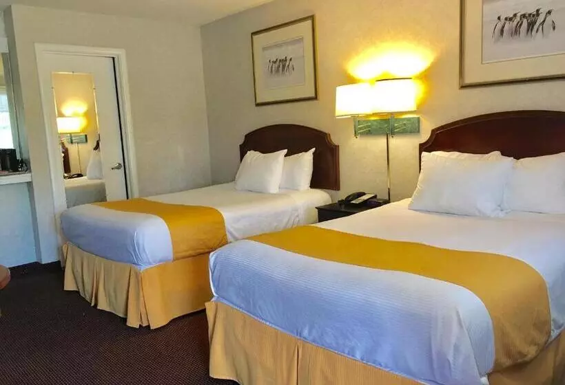 בית מלון כפרי Pelican Inn