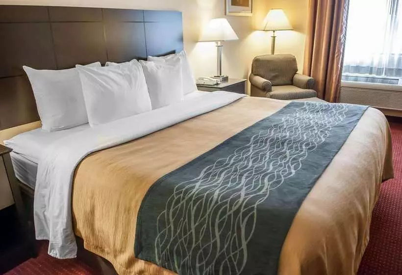 酒店 Quality Inn