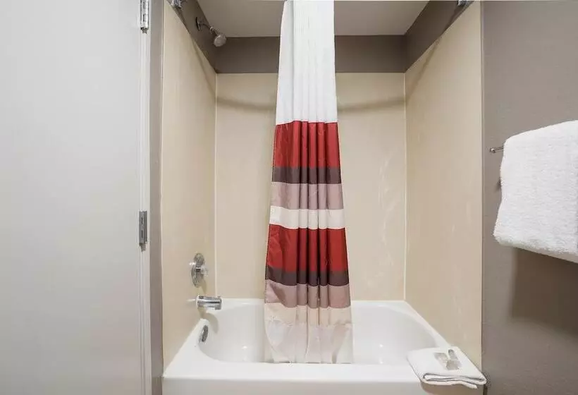 בית מלון כפרי Red Roof Inn Tucson North  Marana