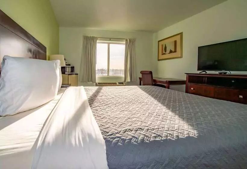 ホテル Rodeway Inn Central Colorado Springs