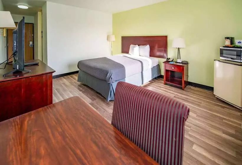 ホテル Rodeway Inn Central Colorado Springs